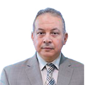 Хатем Заки (Генеральный секретарь Мирового совета по франчайзингу (МСФ), Исполнительный директор Египетской ассоциации развития франчайзинга (ЕФДА))